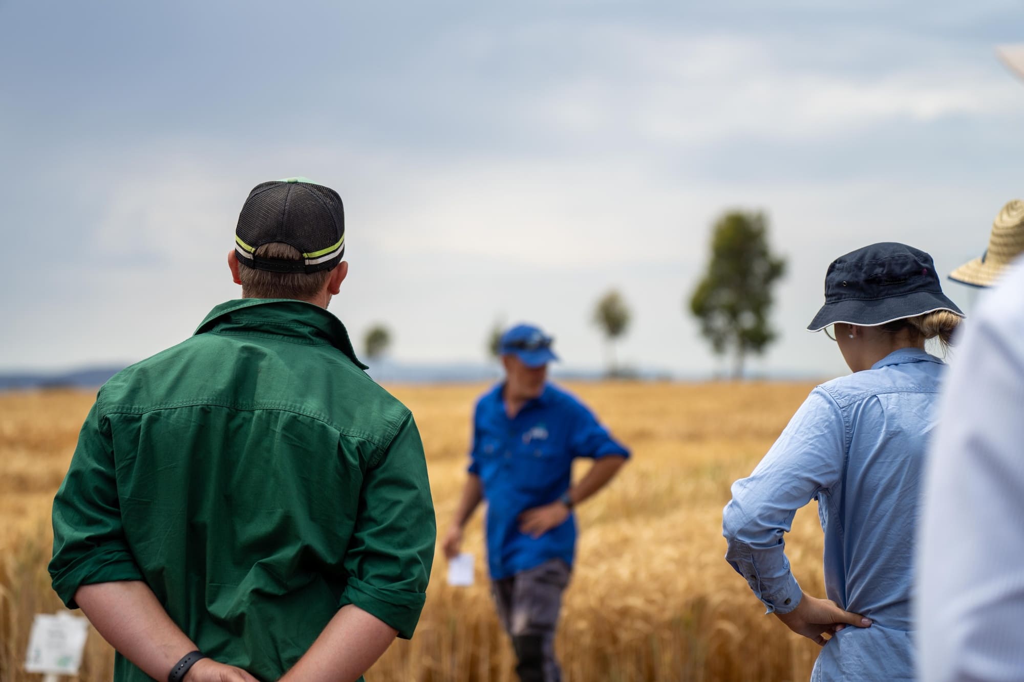 Empowering growth through collaboration at Exant Advisory's Queensland client consultation in a thriving agricultural setting.