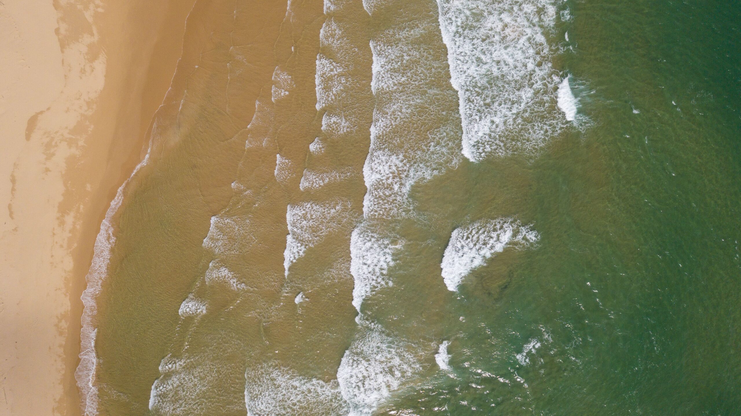 Coastal waves symbolising Exant Advisory's tailored solutions fostering business growth and success in Queensland.